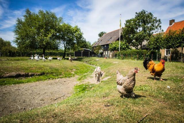 Vakantiewoning Oranjezon Vakantiehuis *