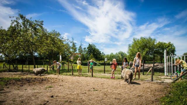 Vakantiewoning Oranjezon * Vrouwenpolder