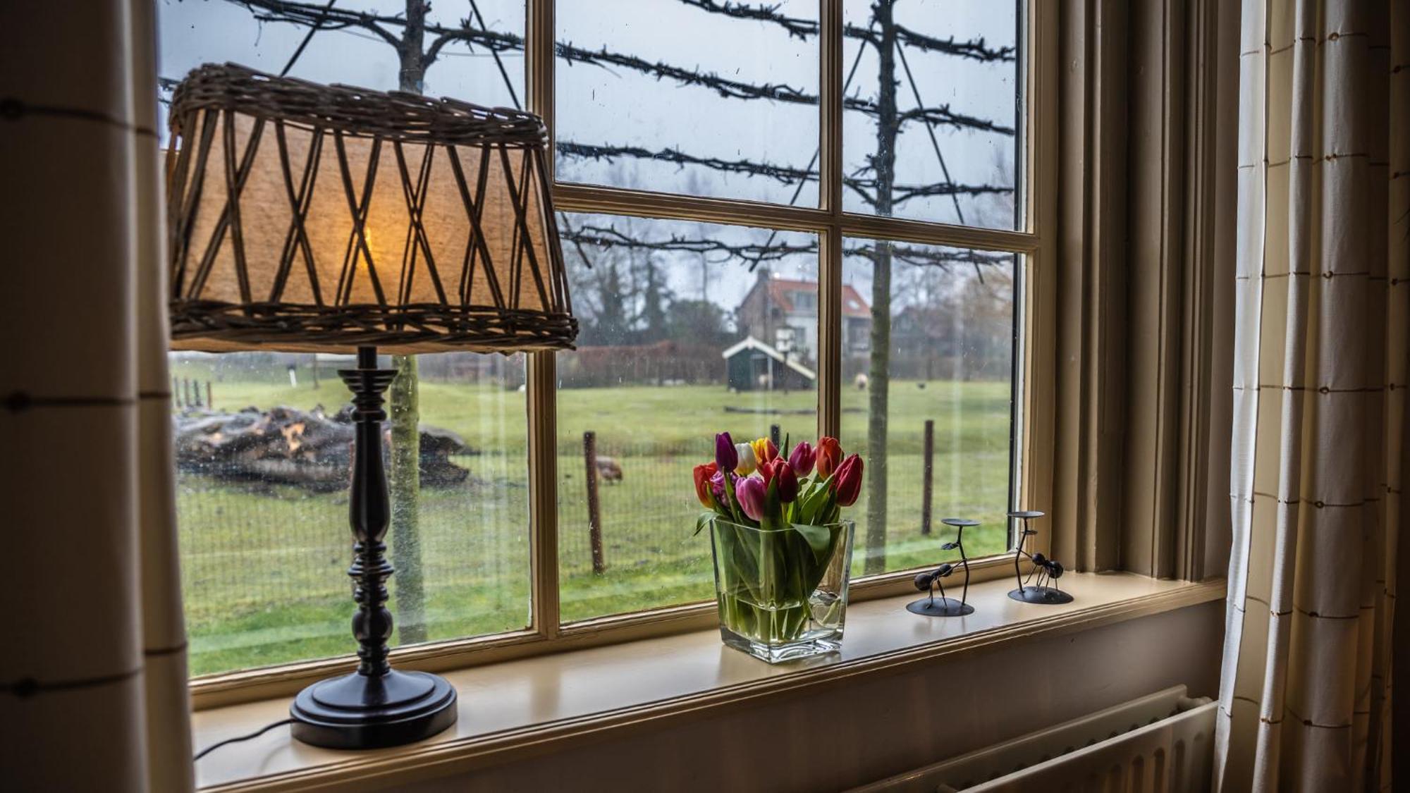 Vakantiehuis Vakantiewoning Oranjezon Vrouwenpolder
